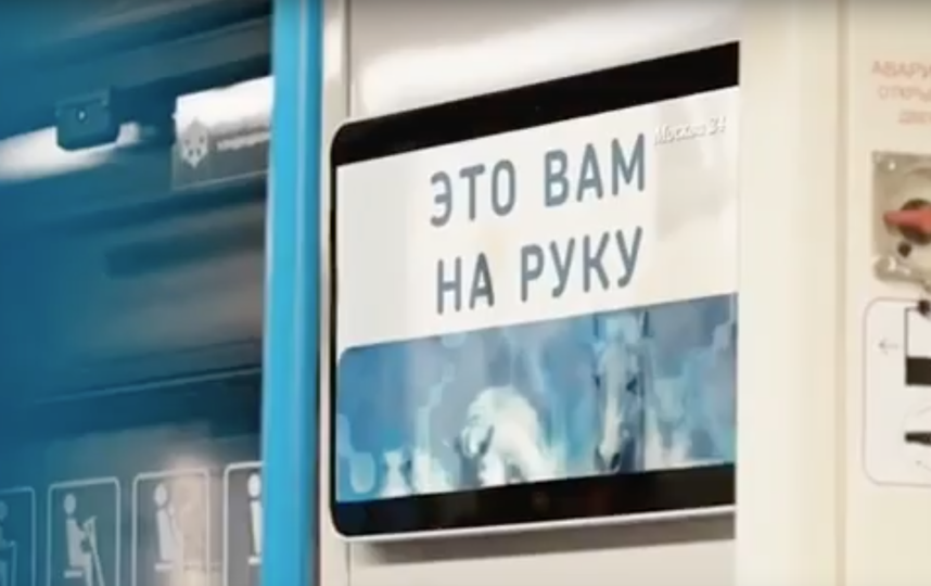 Метрополитен повторил акцию Бэнкси. Фото Скриншот, Скриншот Youtube