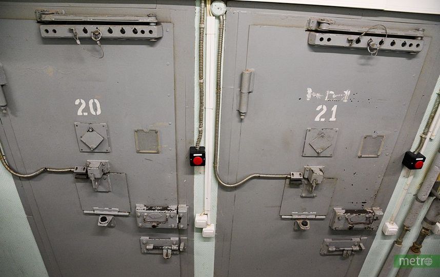 Архивное фото. Фото Василий Кузьмичёнок