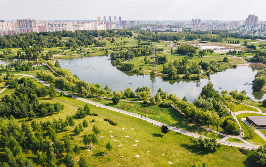 Ландшафтный парк "Митино" после благоустройства. Фото департамента капитального ремонта