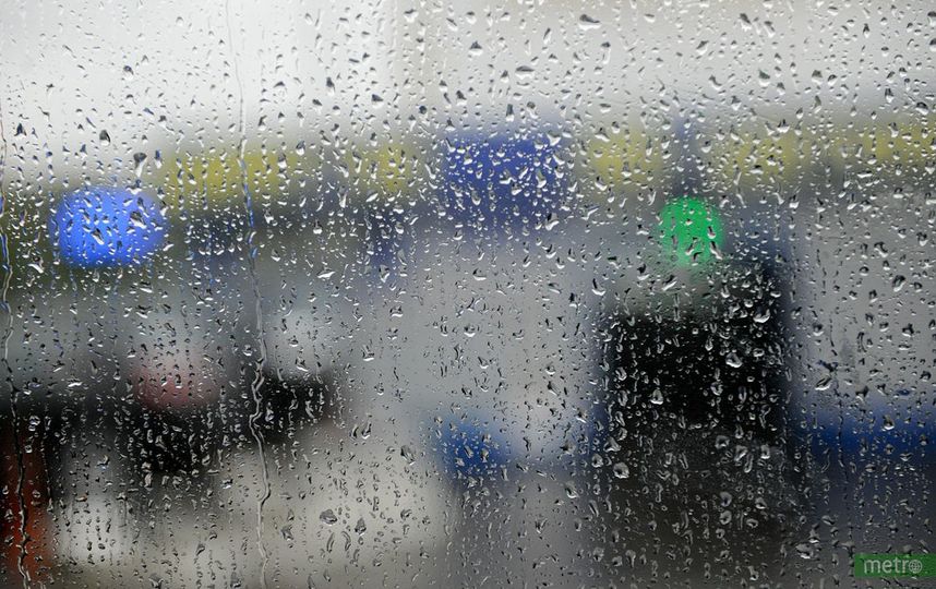 МЧС предупреждает москвичей о грозе и ветре до 22 м/с. Фото Василий Кузьмичёнок