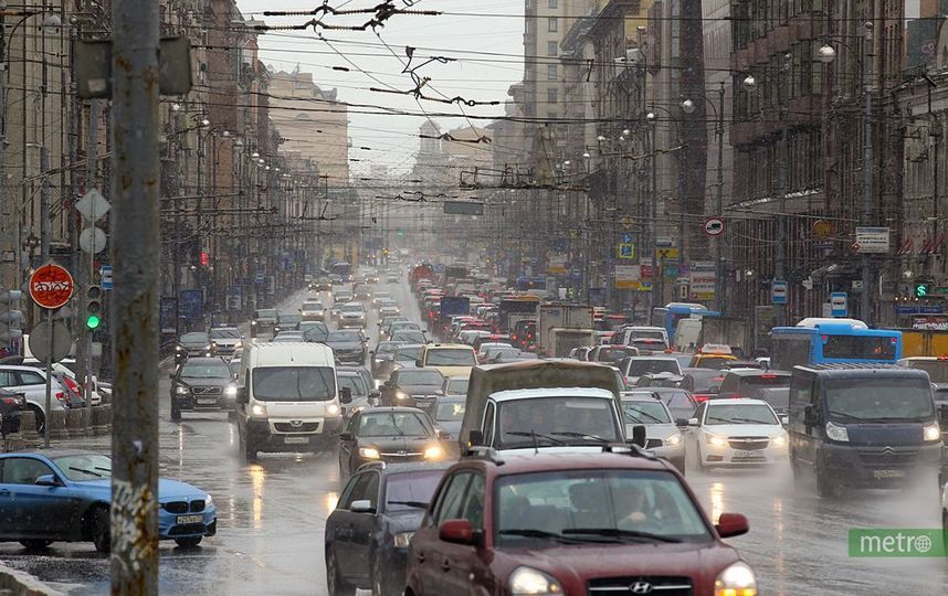 МЧС предупредило жителей Подмосковья о заморозках в ближайшие дни