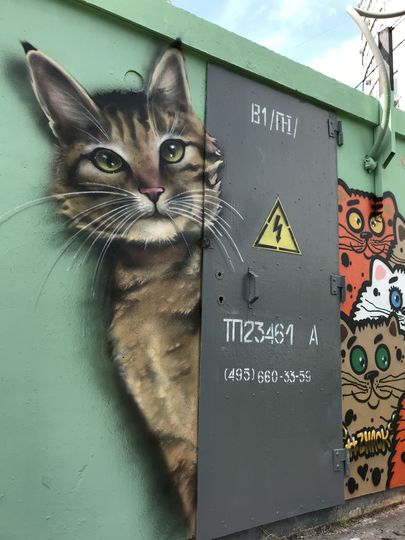 Художник Саша "Знак" решил порадовать жителей Тропарёво-Никулино и "забомбил" трансформаторную будку на улице Академика Анохина котиками. Фото Саша "Знак"