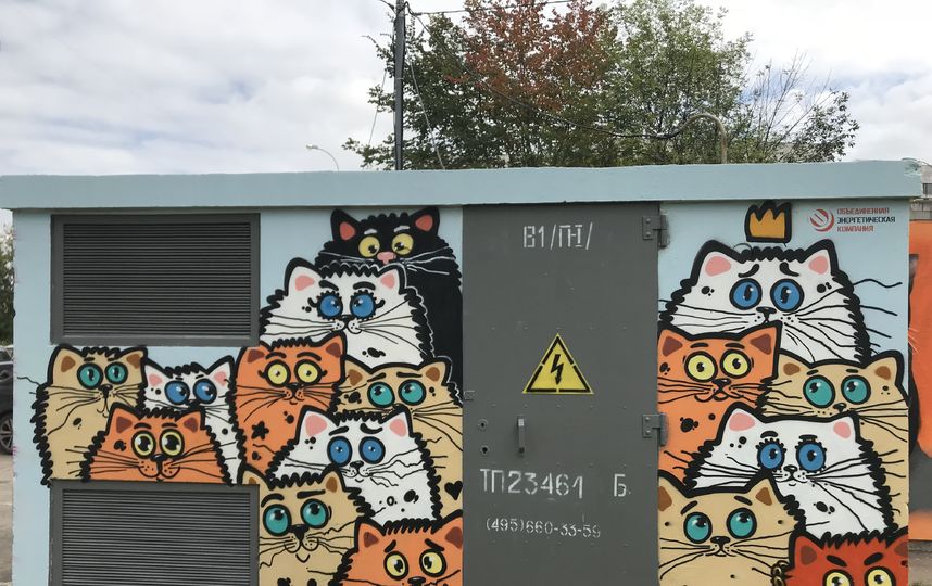 Художник Саша "Знак" решил порадовать жителей Тропарёво-Никулино и "забомбил" трансформаторную будку на улице Академика Анохина котиками. Фото Саша "Знак"