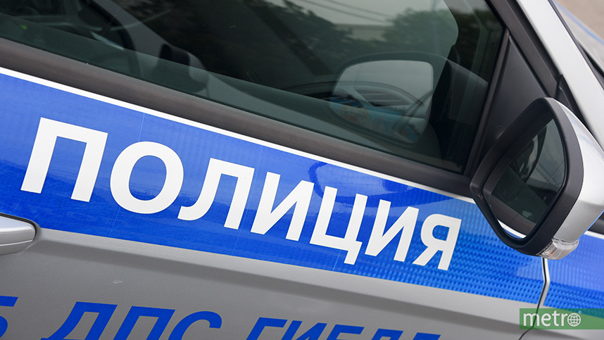 Москвич после несостоявшегося свидания убил свою кошку