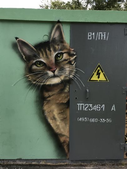 Художник Саша "Знак" решил порадовать жителей Тропарёво-Никулино и "забомбил" трансформаторную будку на улице Академика Анохина котиками. Фото Саша "Знак"