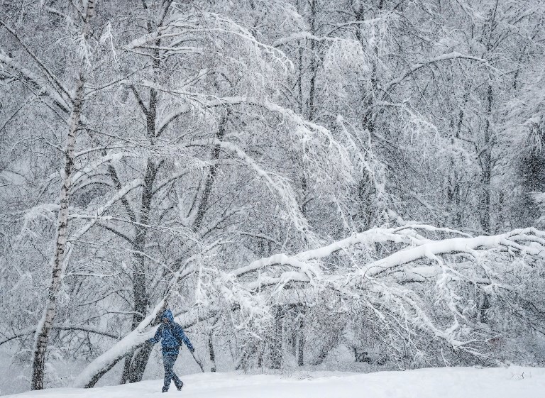 Снегопады в Москве. Фото AFP