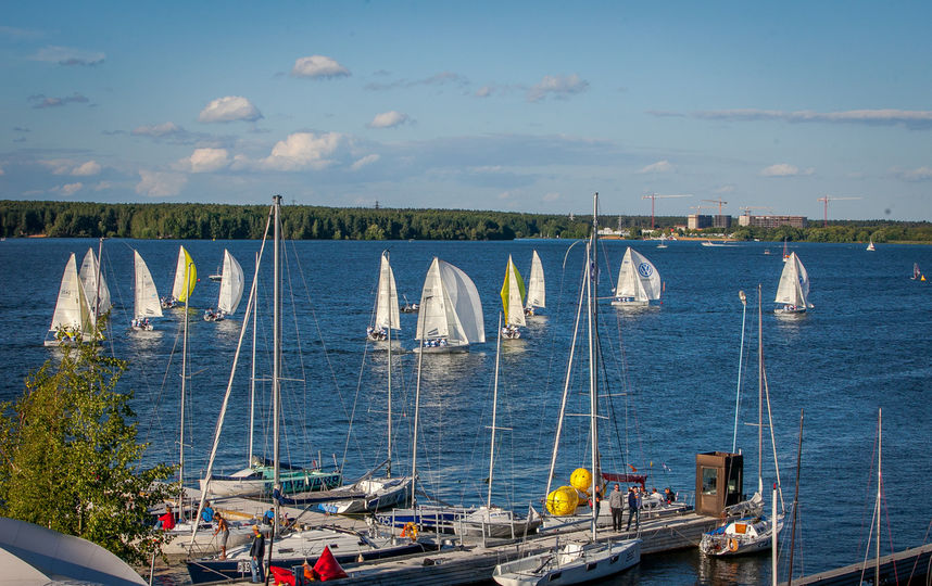 Поднять паруса.