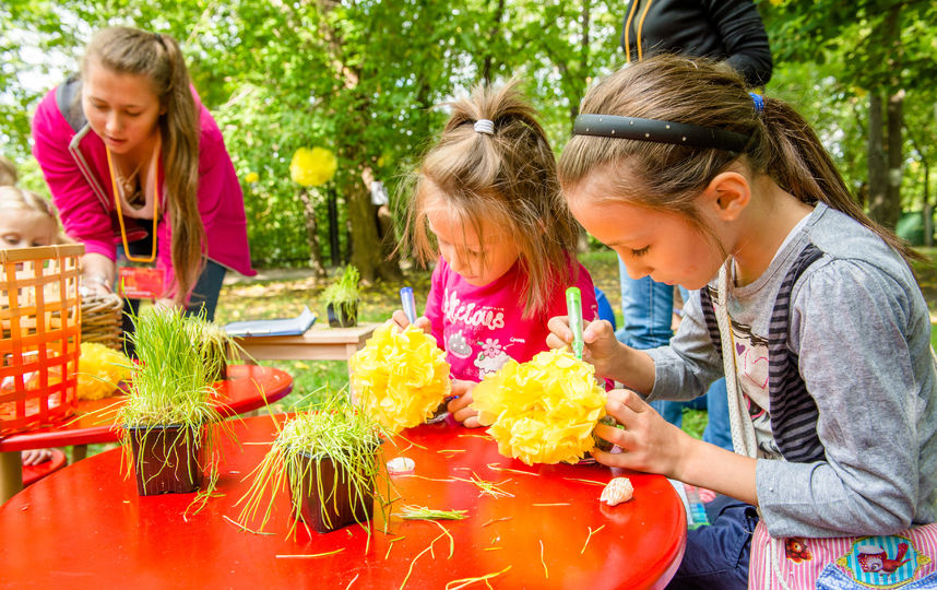 Фабрика чудес.