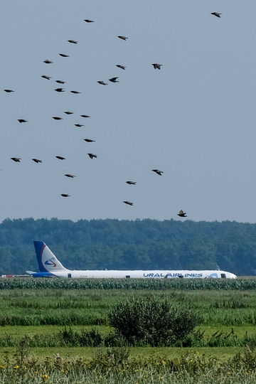 На борту воздушного судна находились 226 пассажиров и 7 членов экипажа. Фото AFP
