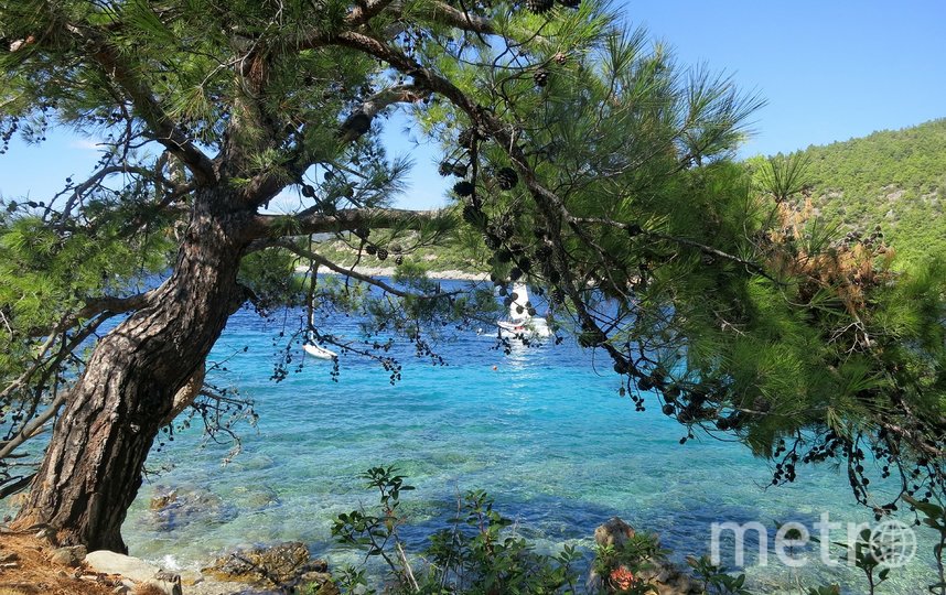 Море зовёт: какие страны уже готовы принять туристов