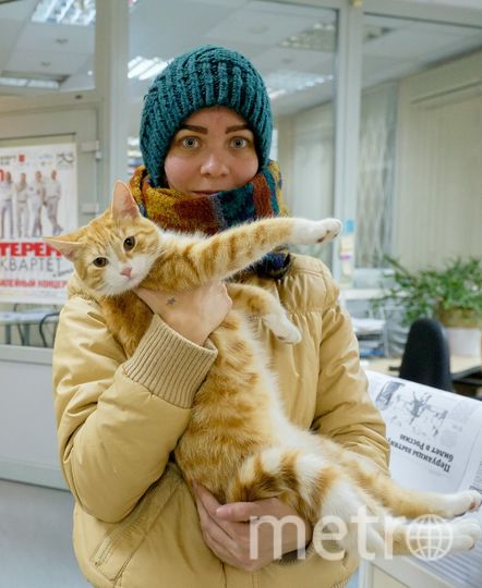 Кошка Булочка. Фото "Metro"