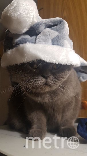 Бублик к зиме уже давно готов! Фото  Юлия, "Metro"