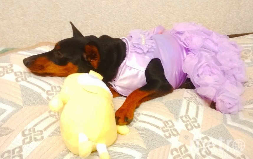 Модница Боня во всей красе. Фото Александр Кунгуров, "Metro"