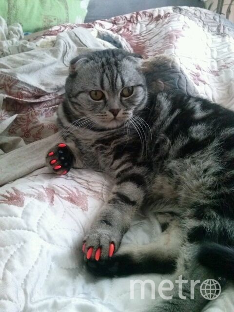 Буся только что из салона. Фото Юлия, "Metro"