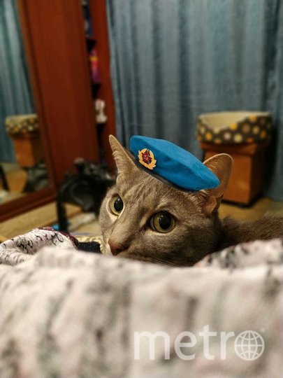 Если бы кот Кекс умел летать, он бы полетел! Бесстрашный покоритель вершин. Фото Анастасия Чернышова, "Metro"