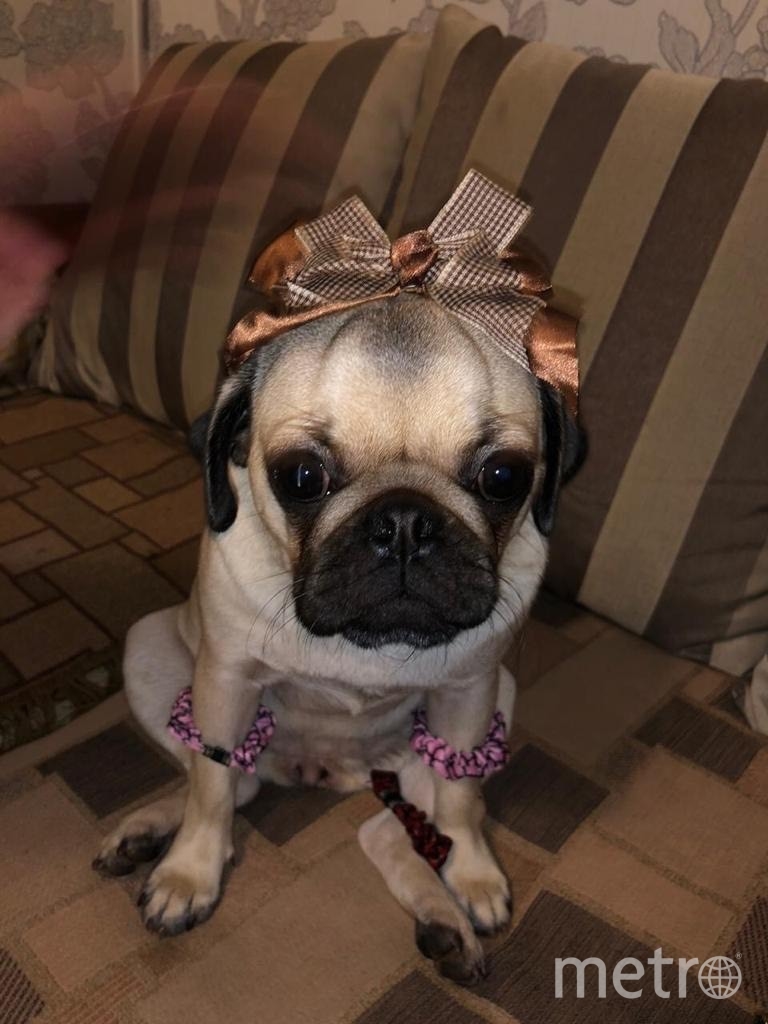 Ну разве Буся не красавица? Фото Яна Авророва, "Metro"