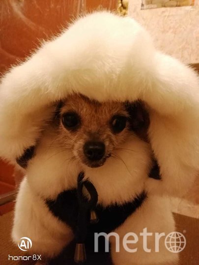 Симона и её модная шубка. Фото Маргарита Асташина, "Metro"