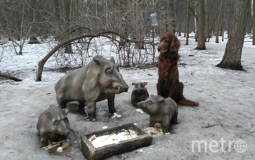 Крон - самый статный и благородный охотник. "Кушайте, кушайте. Я Вас посторожу." Фото Валерия, "Metro"