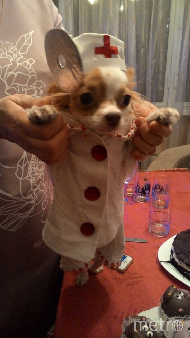 А Маргоша в карнавальном костюме врача - отоларинголога. Фото Наталия Моисеева, "Metro"