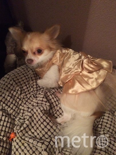 Мила в праздничном платье. Фото Наталия Моисеева, "Metro"