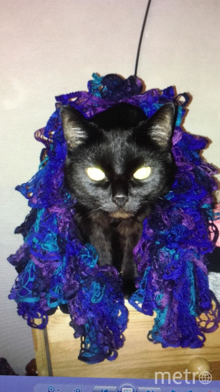 Мурзик готов покорять подиумы Парижа. Фото Соколова Татьяна, "Metro"