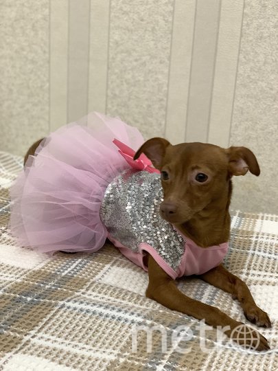 Красавица Тина. Фото Маргарита , "Metro"