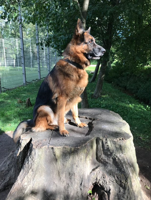 Баська - гроза района. "Высоко сижу, далеко гляжу". Фото Мария, "Metro"