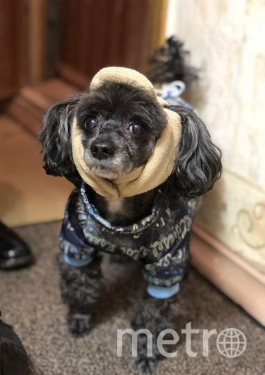 Феликс: "Хорошо, что есть осень, она нежно и аккуратно готовит нас к холодам!". Фото Наталья, "Metro"