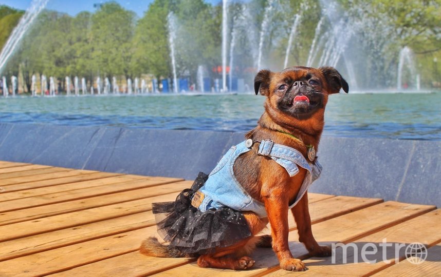 Леди Юмка обожает наряжаться и позировать, у неё даже есть своя страничка в Instagram. Фото Елена, "Metro"