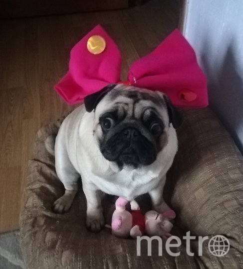 Бобби не боится экспериментов. Фото Наталья Денисенко, "Metro"