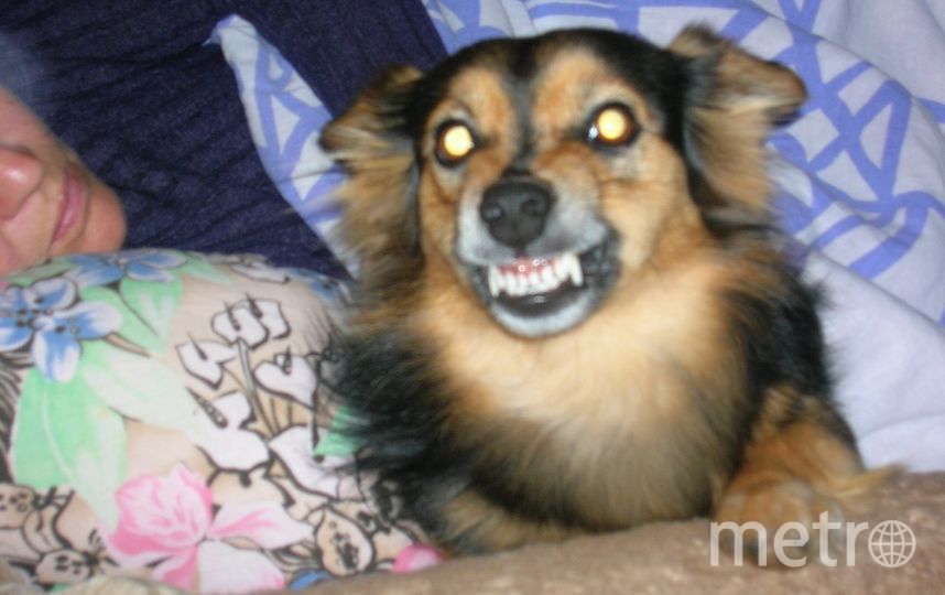 Обладательница голливудской улыбки Лайма. Фото Анастасия, "Metro"