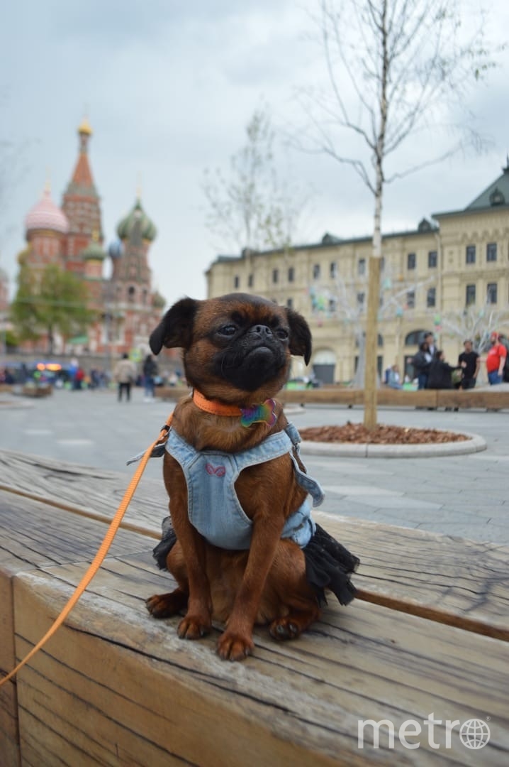 Леди Юмка обожает наряжаться и позировать, у неё даже есть своя страничка в Instagram. Фото Елена, "Metro"