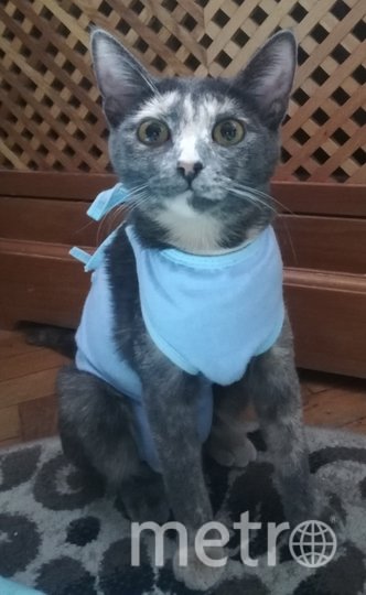 У Тэи – вынужденная мода, после операции(. Фото Инна Лебедева, "Metro"