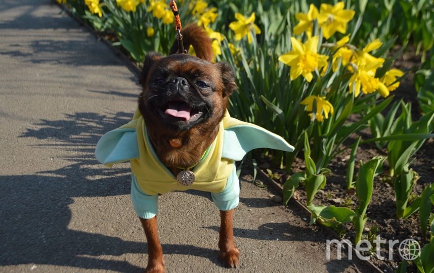 Леди Юмка обожает наряжаться и позировать, у неё даже есть своя страничка в Instagram. Фото Елена, "Metro"
