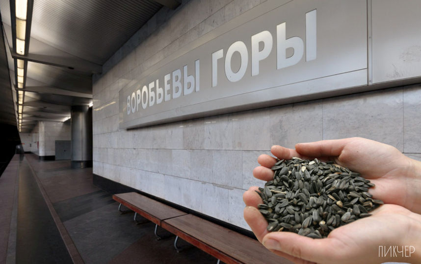 Метро смешнее, чем мы думаем. Фото агентсво "Пикчер"