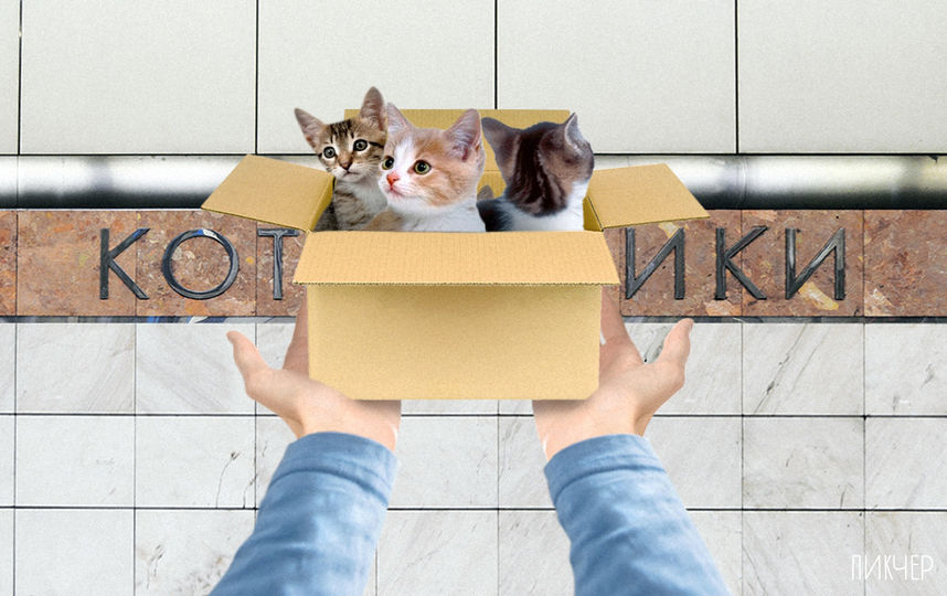 Метро смешнее, чем мы думаем. Фото агентсво "Пикчер"