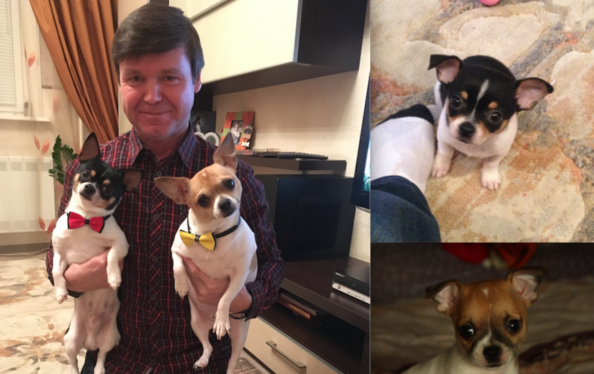 Темный Джоник, Рыжий -Гарик. Фотографии где им по 2 месяца и где 3 года. Фото Владимир Тарасов