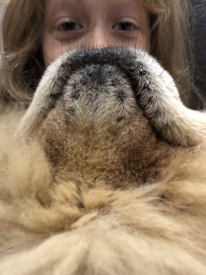 "ЧауКатяборода". Фото Станислав Косогоров