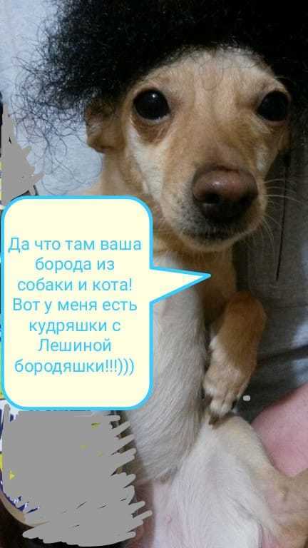 Меня зовут Юлия, а это наша девочка Клепа. Фото Юлия