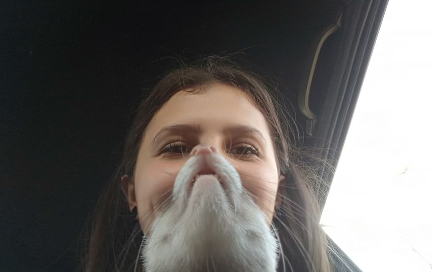 У меня есть борода из хорька! Хорёчка зовут Плюшка. Очень ласковая и энергичная девочка, мы с ней очень любим друг друга! Фото Даша