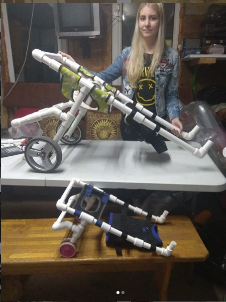 Кристина создаёт коляски и для овчарок, и для такс. Фото Instagram.com/usk.help