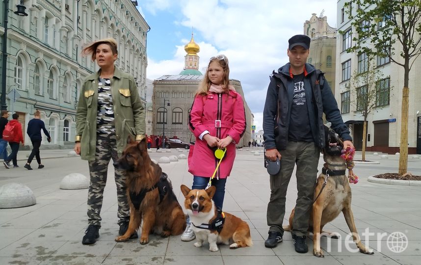 Москвичи увидели город глазами собак