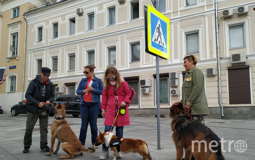 В первый день Московского урбанистического форума гостей пригласили на прогулку «Город глазами собаки». Фото Ольга Кабанова, "Metro"