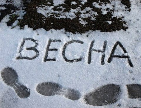 Москву завалило снегом, а Instagram снежными фото