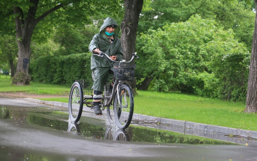 Несмотря на дождь, москвичи поспешили на прогулки. Фото Василий Кузьмичёнок