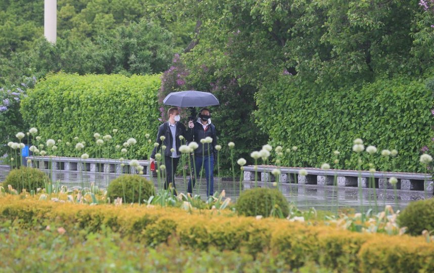 Несмотря на дождь, москвичи поспешили на прогулки. Фото Василий Кузьмичёнок