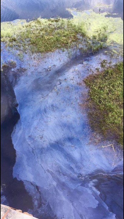 На поверхности реки в Подмосковье обнаружили восьмикилометровое пятно