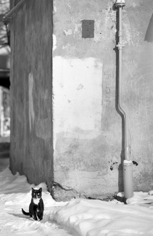 Около 50 работ было напечатано для выставки. Фото Фото предоставлены героем публикации.