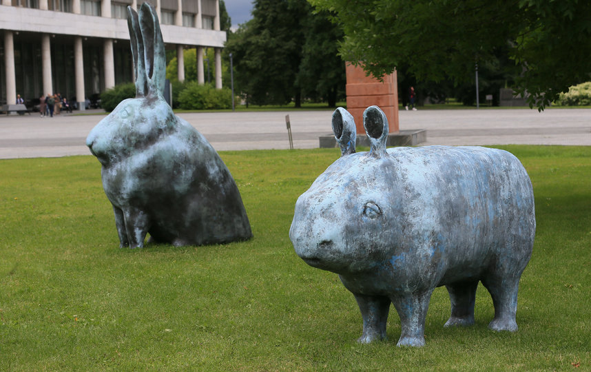 Скульптуры "Кролик" и "Носорожик". Фото Василий Кузьмичёнок