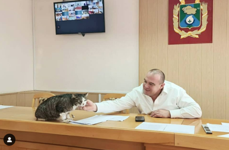 Кот Кипиш и глава Невинномысска Михаил Миненков. Фото Instagram